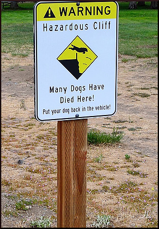 Many Dogs Have Died Here w sig DSC_0890