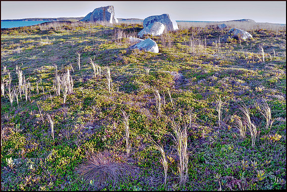Wisps w sig DSC_0300