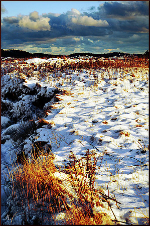 Winter on Saul's Island with border