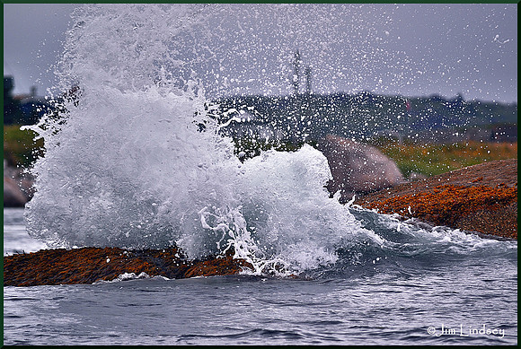 Playful w border DSC_0676
