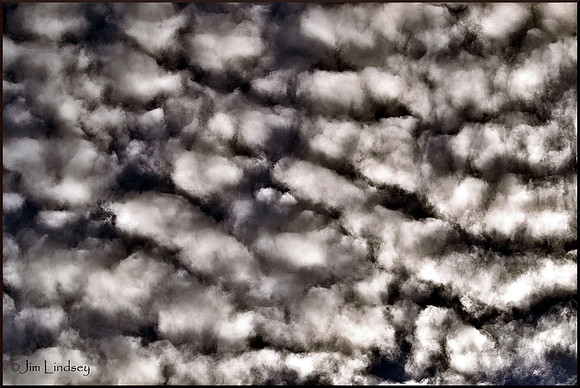 A Bit of Tonight's Sky w border DSC_0557