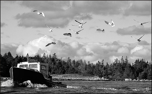 The Chase BW