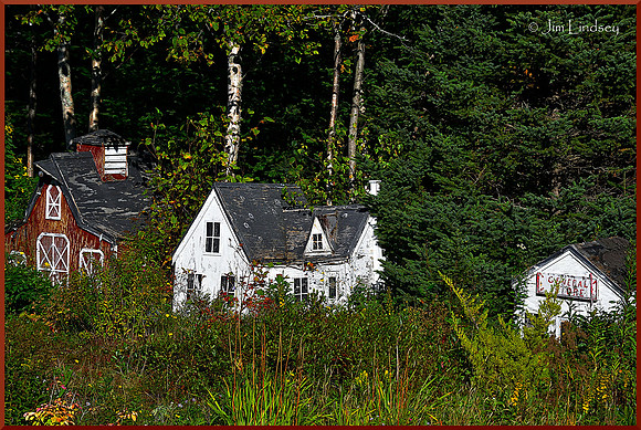 Little Village in the Woods w border DSC_0220