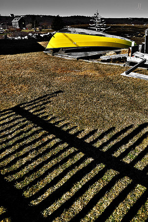 Beyond the Fence DSC_0659