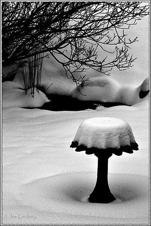 The Birdbath Cake w border DSC_0936