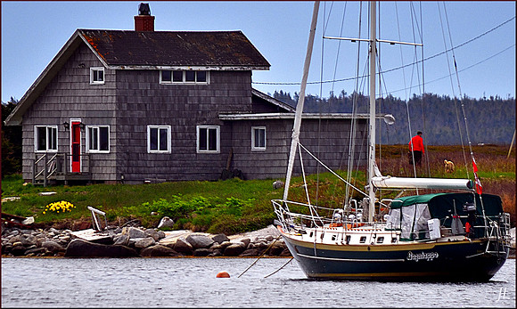 Visitors on Sauls Island DSC_1148