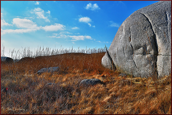 Love Like a Rock w border DSC_0357