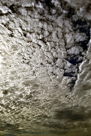 Mackerel Sky DSC_0856