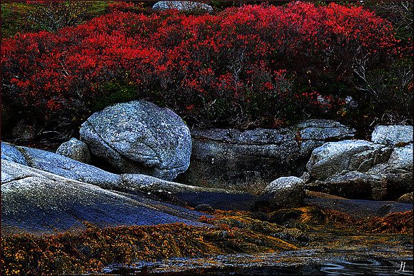 Fall Colors on Hearns Island w sig