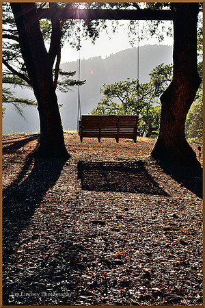 The Love Swing w border DSC_0972