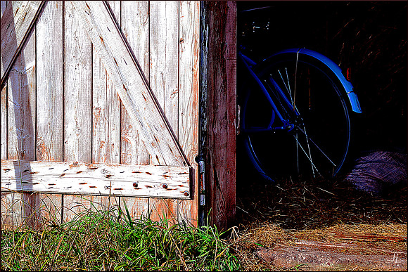 Blue Bicycle 1 w sig