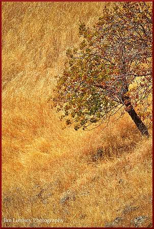 Buckeye on the Slope w border DSC_0125