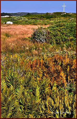 Bog with Cross w border DSC_0182