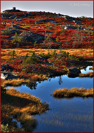 Autumnal Landscape with Erratics w border DSC_0307