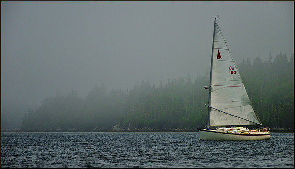 Catboat and Fog w sig DSC_1139