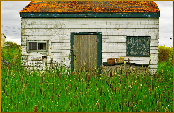 Adrift w sig DSC_0635