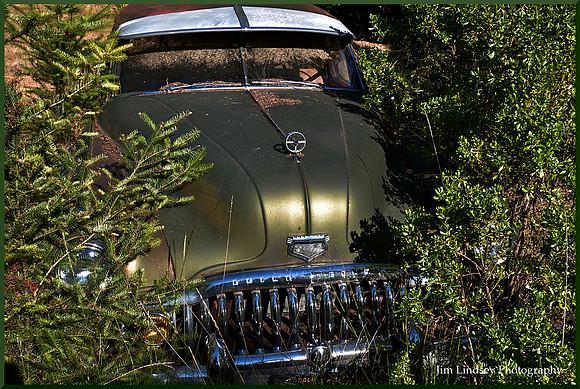 Cars in the Woods 12  w border DSC_0744