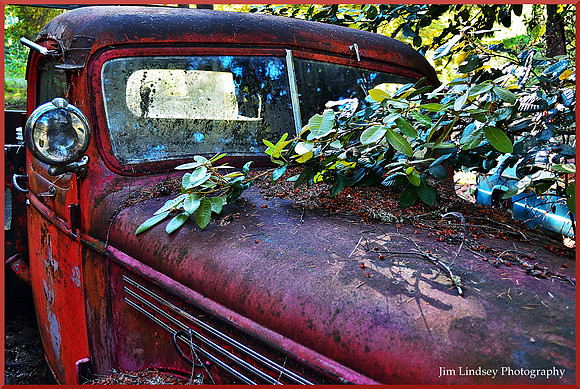 Cars in the Woods 9 w border DSC_0744