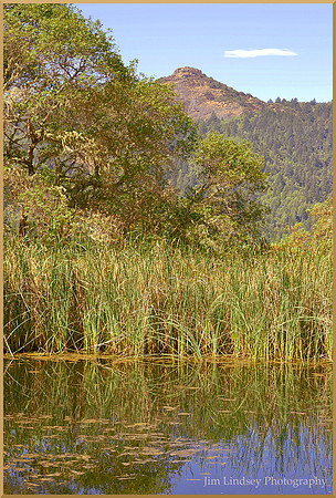 Lost Pond with a View of Eagle Peak w border DSC_0084