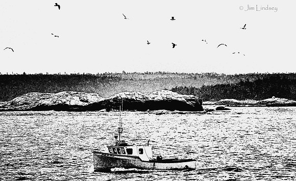 The Birds Know w border DSC_0511