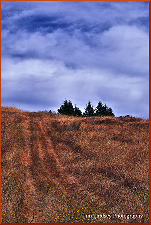 Roads of Linholme w border DSC_0440