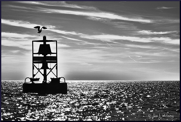 The Bird and the Buoy w border