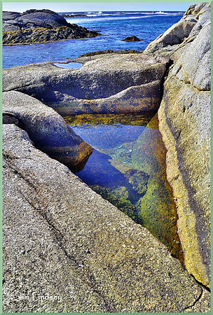 The Shapely Tidal Pool w border DSC_0567