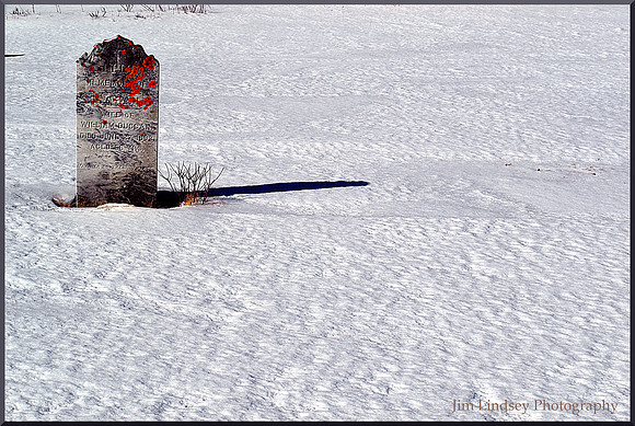Where the Lichen Grows with border
