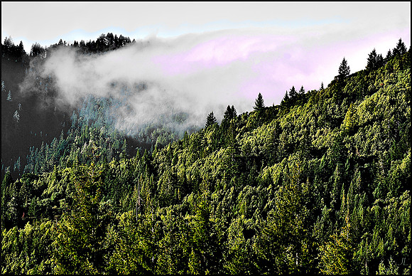 Fog 1 w sig DSC_0482