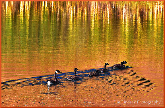 The Family and the Reflection w border DSC_0684
