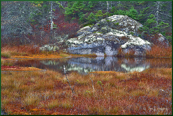 Granite Coast Marsh w border DSC_0557