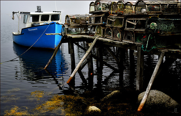 Fogged In w sig DSC_1063
