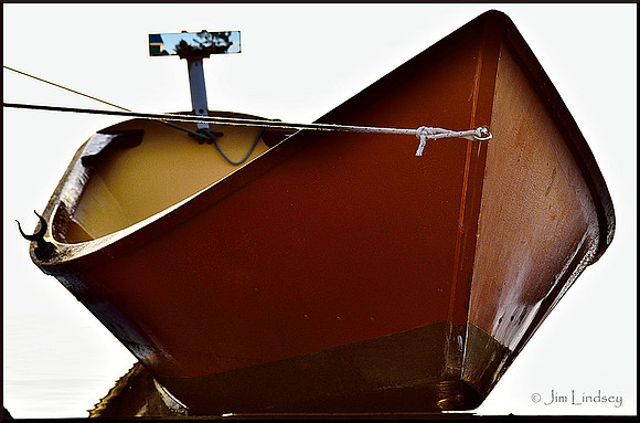 Mojavon w border DSC_0383