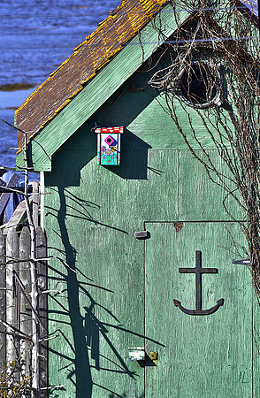 Birdhouse and Shadows DSC_0809