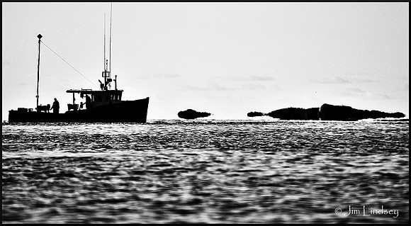 More Early Risers w border DSC_0151
