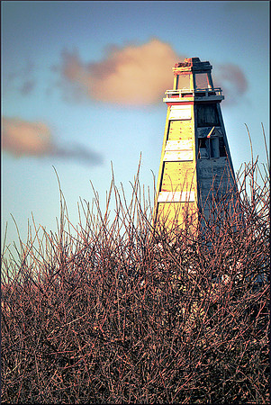 Backyard Lighthouse with Border