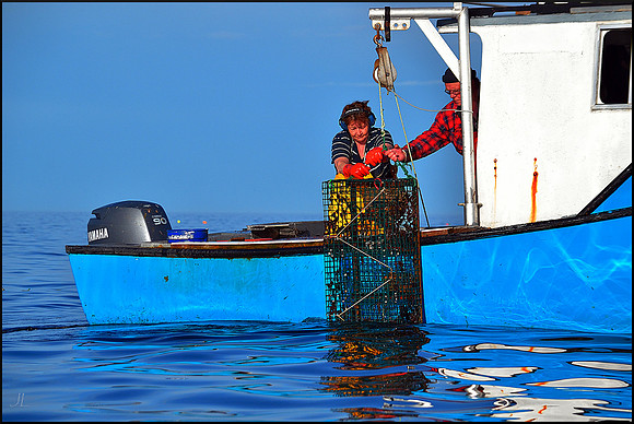 Hauling In DSC_1094