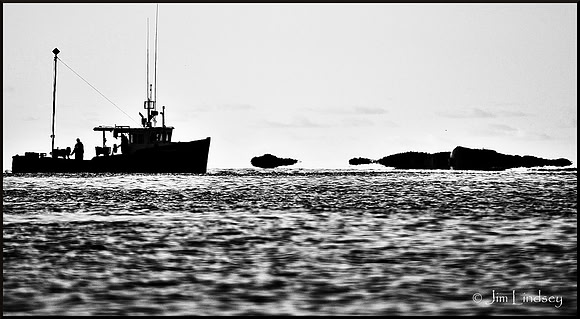 More Early Risers w border DSC_0151