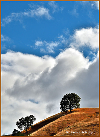 A Casual Perfection w border DSC_0068