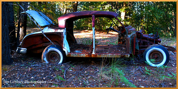 Cars in the Woods 18 w border DSC_0744