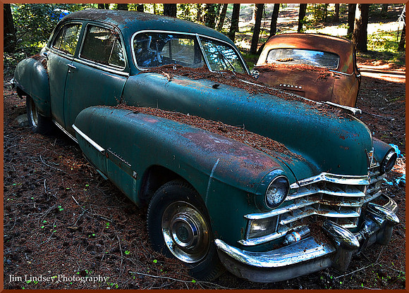 Cars in the Woods 7 w border DSC_0744