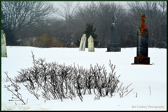 Inseparable w border DSC_0027