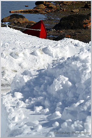 Pet Dory w border DSC_0445