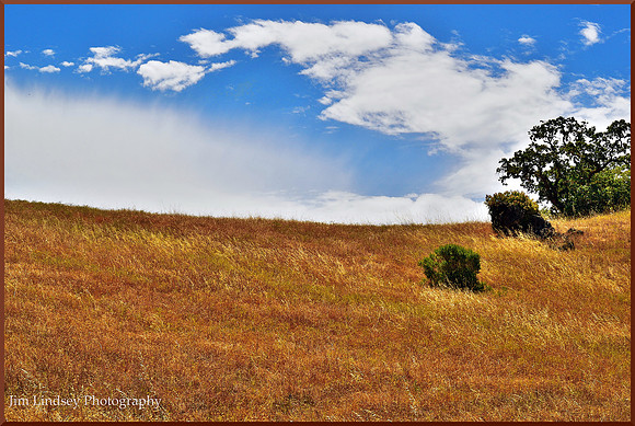 Windblown w border DSC_0098