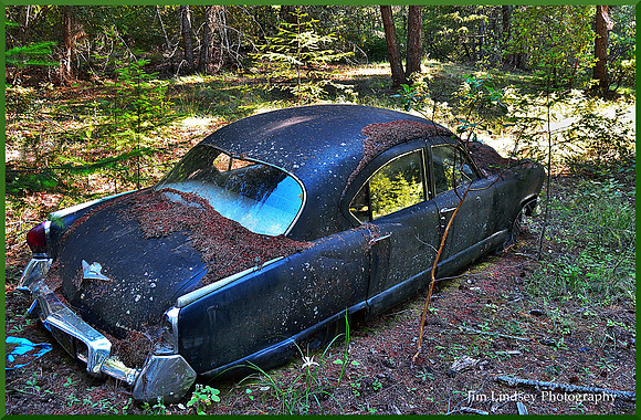 Cars in the Woods 10 w border DSC_0744