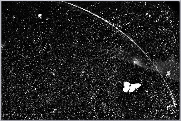 The Moth Inside w border DSC_1044