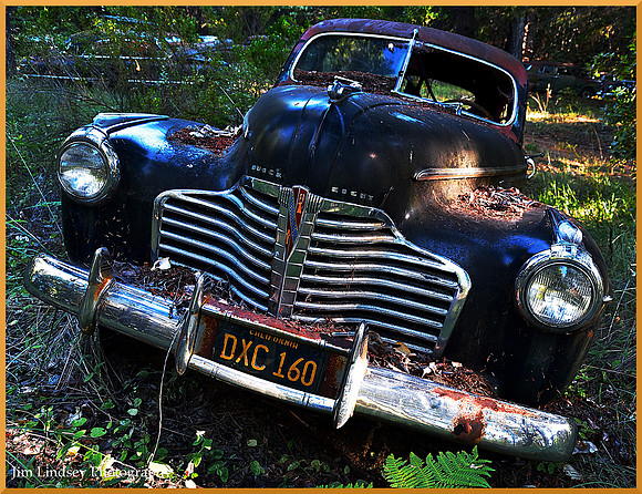 Cars in the Woods 17 w border DSC_0744
