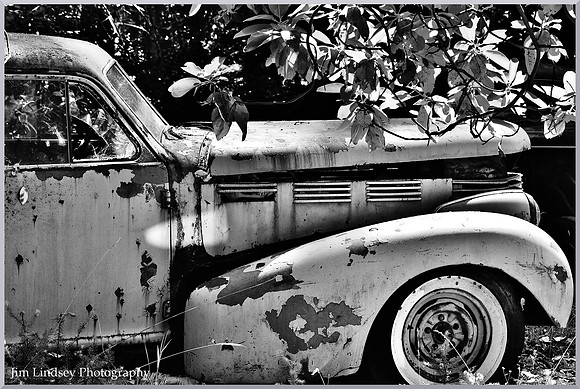 Arrangement w border DSC_0018