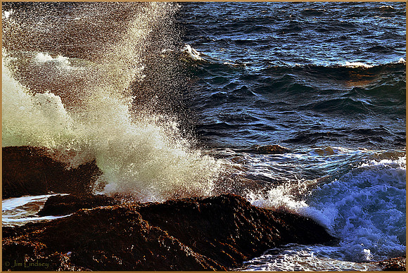 Spatter w border DSC_0502