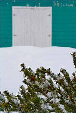 Evergreen Dream w sig